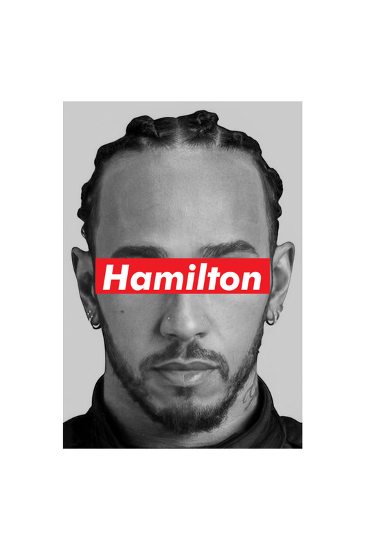 Hamilton Terry Cotton Tee