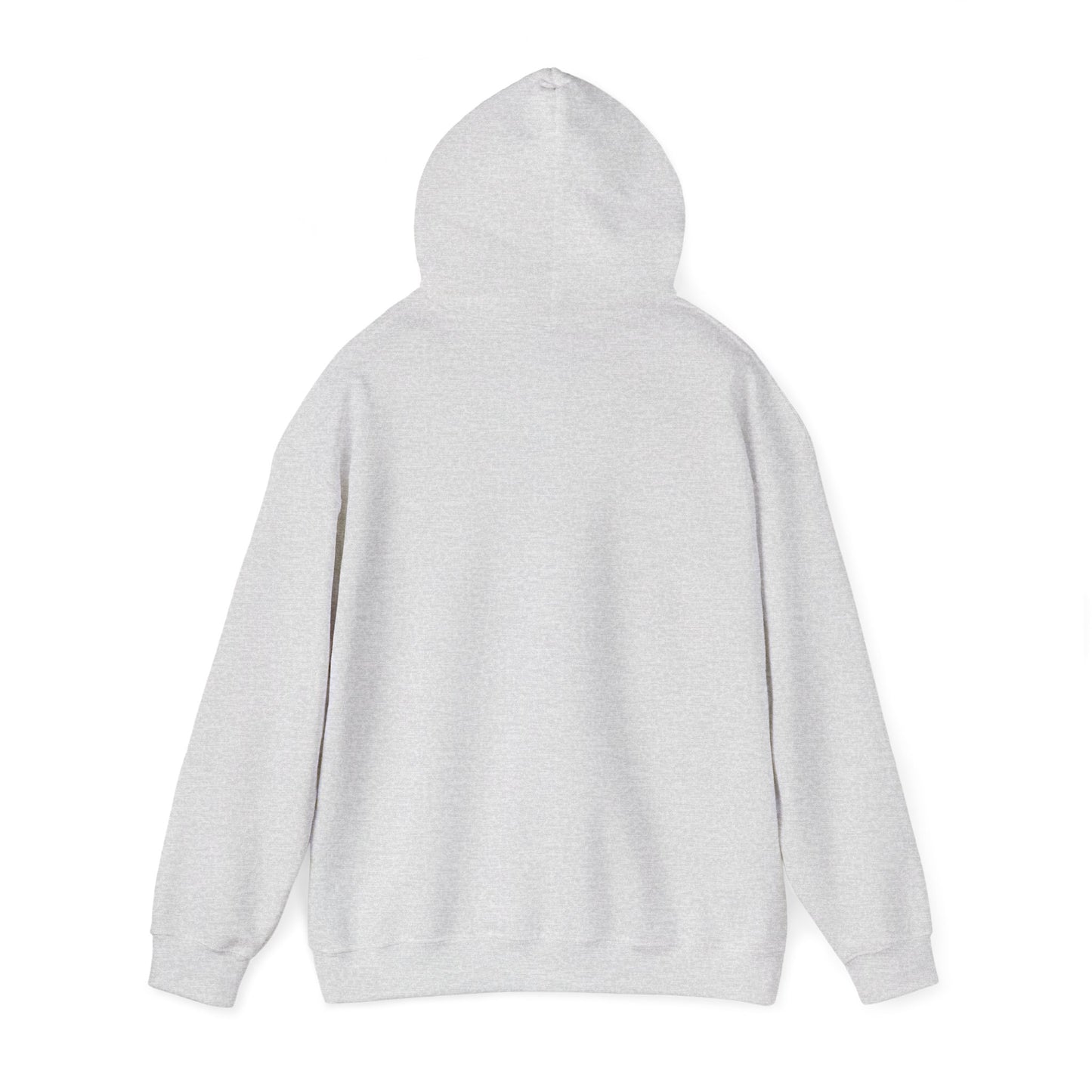 Mercedes-AMG Silver Arrows Unisex Hoodie