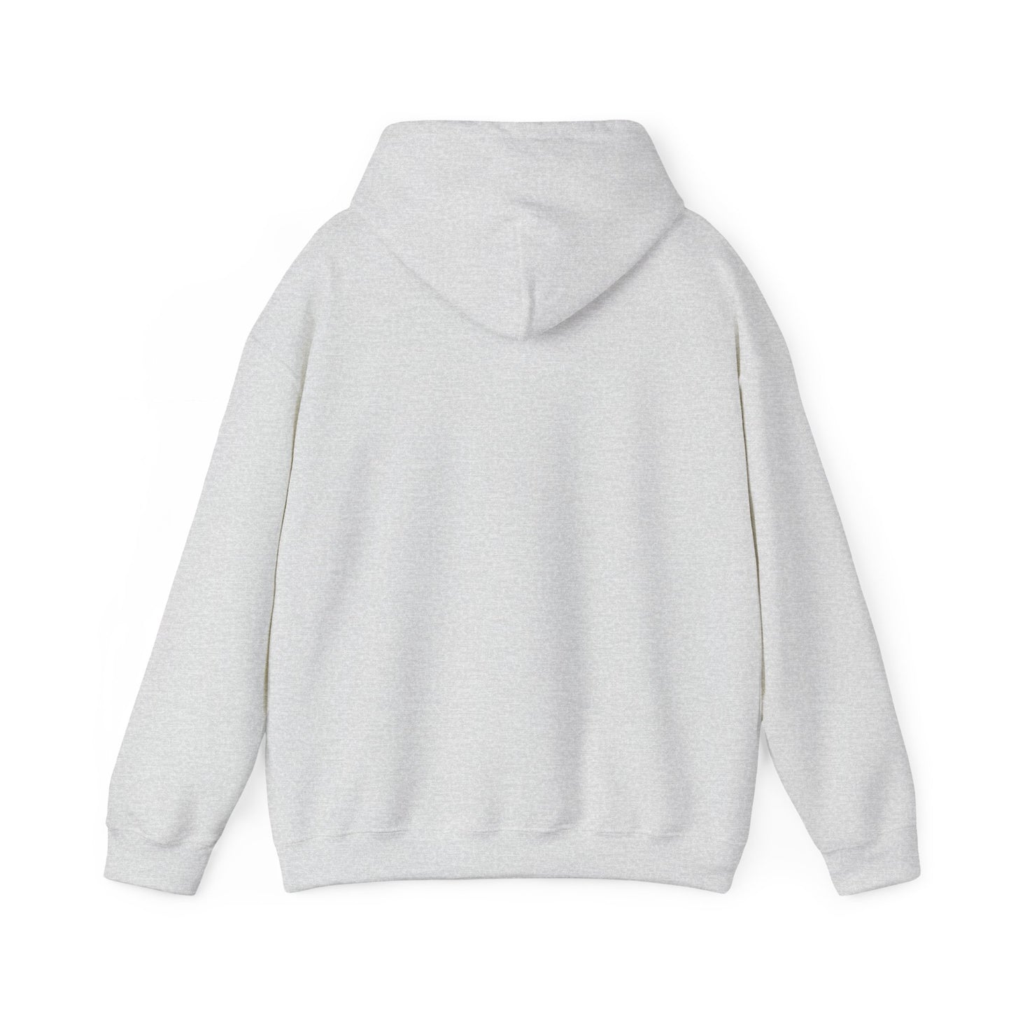 Mercedes-AMG Silver Arrows Unisex Hoodie